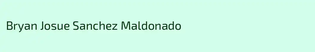 Bryan Josue Sanchez Maldonado